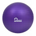 Купить Фитбол  Majestic Sport 65 cm Anti-Burst GVP5028/V в Киеве - фото №1